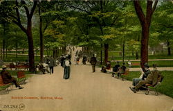 Boston Common Postcard