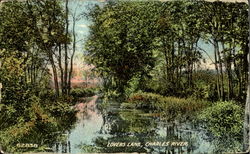 Lovers Lane Postcard