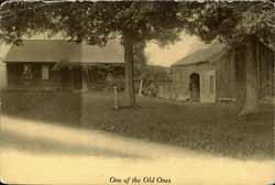 One Of The Old Ones Postcard Postcard