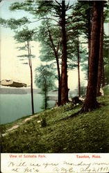 View Of Sabbatia Park Taunton, MA Postcard Postcard