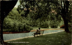 View In Elm Park Postcard