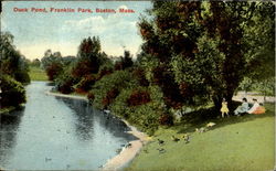Duck Park, Franklin Park Postcard