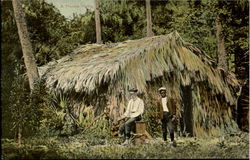 A Florida Home Postcard