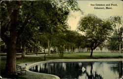 The Common and Pond Postcard