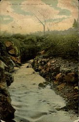 The Brook, Buzzy Hill Postcard