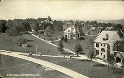 On The Campus Postcard