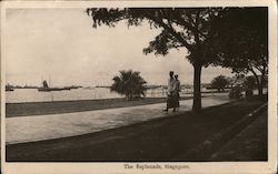 The Esplanade, Singapore Southeast Asia Postcard Postcard Postcard