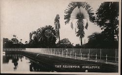 The Reservoir Singapore, Singapore Southeast Asia Postcard Postcard Postcard