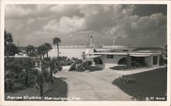 Marine Studios Marineland, FL Postcard Postcard Postcard