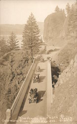 Shepherds Dell Columbia River Highway Postcard