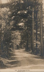 The Road Along the Lake Chocorua, NH Postcard Postcard Postcard