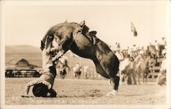 A Short Stay in Nevada - Rodeo Scene Postcard