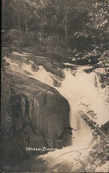 Wilson Stream Postcard