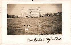 New Rochelle High School Postcard