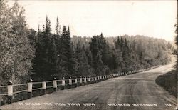 Where the tall Pines Grow, Northern Wisconsin Postcard Postcard Postcard