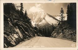Stevens Pass Highway Washington Ellis Postcard Postcard Postcard