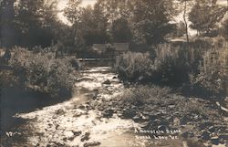 A Mountain Brook Bread Loaf, VT Gove Photo Shop Postcard Postcard Postcard