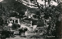 Scene in Taxco Postcard