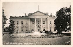 The White House Postcard