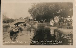 Gov't Springs Park Postcard