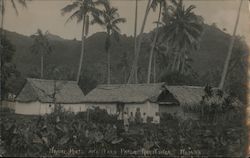 Native Huts in Rarotonga, Cook Islands Postcard