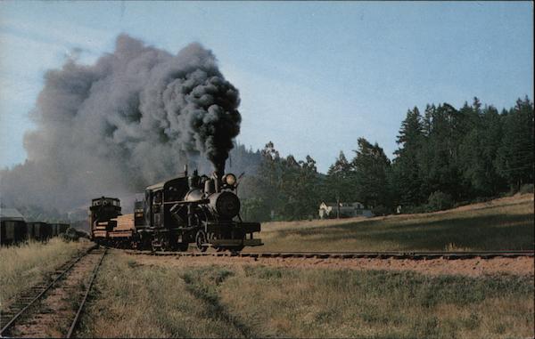 Toulumne Heisler - Mixed Train to Big Trees! Felton California