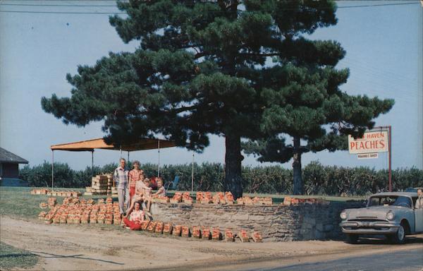Roadside Fruit Stand: Red Haven and Elberta Peaches and other varieties North East Pennsylvania