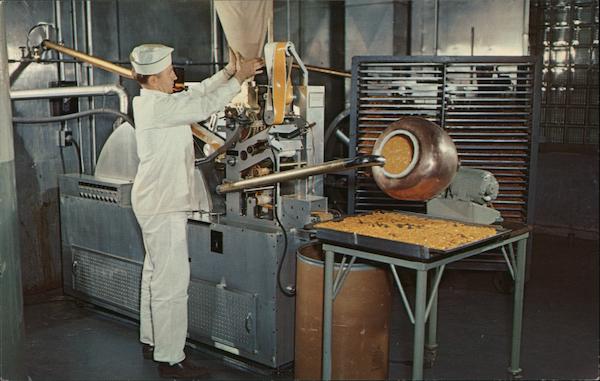 Lederle Laboratories Pearl River New York