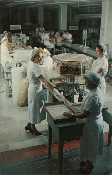 Lederle Laboratory Pearl River New York