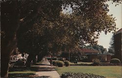 La Verne College Postcard