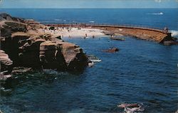 Children's Pool La Jolla, CA Postcard Postcard Postcard