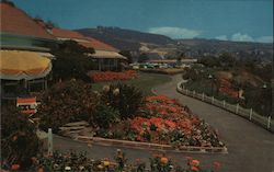 A Colorful Walk in Heisler Park Laguna Beach, CA Postcard Postcard Postcard