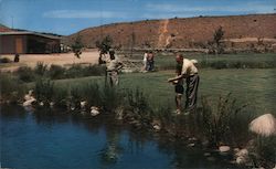 Fishing for Rainbow Trout at the Hesperia Trout Farm Postcard
