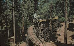 Across Spring Canyon High Trestle at Roaring Camp Postcard