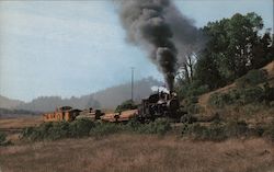 Tuolumne Heisler Felton, CA Trains, Railroad Postcard Postcard Postcard