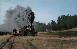 Toulumne Heisler - Mixed Train to Big Trees! Felton, CA Trains, Railroad Postcard Postcard Postcard