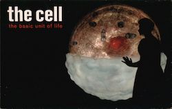Upjohn Model of a Basic Cell, Disneyland Postcard