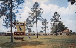 Gator Court Postcard