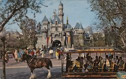 Sleeping Beauty Castle Fantasyland Disney Postcard Postcard Postcard
