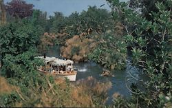 Jungle Cruise Disneyland Postcard