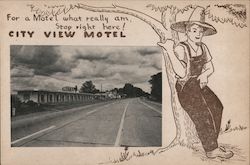 City View Motel Williamsport, PA Postcard Postcard Postcard