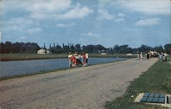 Chautauqua Fish Rearing Ponds New York Postcard Postcard Postcard