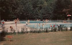 Allegany State Park Postcard