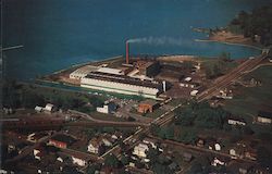 Watkins Salt Co. and Outlet of Catherine Creek Postcard