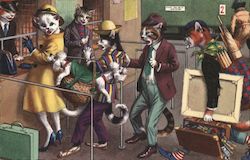 Cats in line to travel. A dog is biting a Lady Cat's Arm Postcard