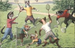 Cats playing Badminton Postcard