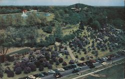 Aerial View, Lilac Time in Highland Park Postcard