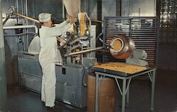 Lederle Laboratories Postcard