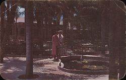 Palm garden Restaurant St. Petersburg, FL Postcard Postcard Postcard