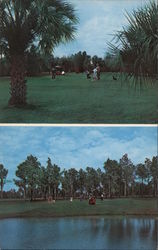 Palmetto Pines Golf Course Holes #11 and #12 Postcard